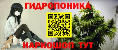 ГАЛЛЮЦИНОГЕННЫЕ ГРИБЫ Балахна