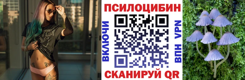 Галлюциногенные грибы мухоморы  где продают наркотики  Владимир 
