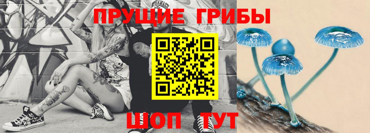 Псилоцибиновые грибы мицелий  Владимир 