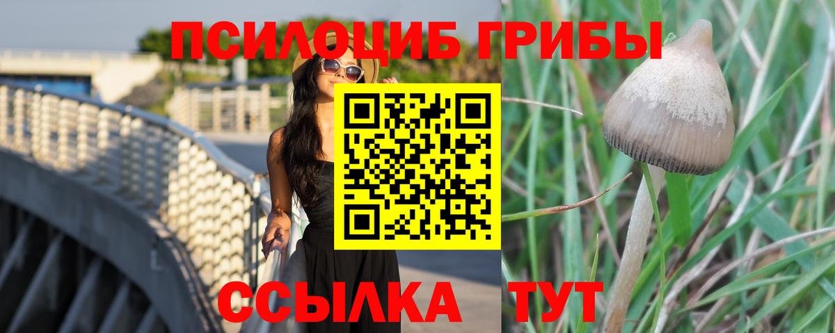 Галлюциногенные грибы прущие грибы Владимир