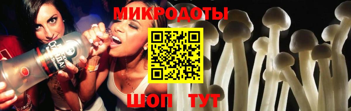 где купить наркоту  Псилоцибиновые грибы Psilocybe  Вход с VPN  Владимир  Галлюциногенные грибы Cubensis 