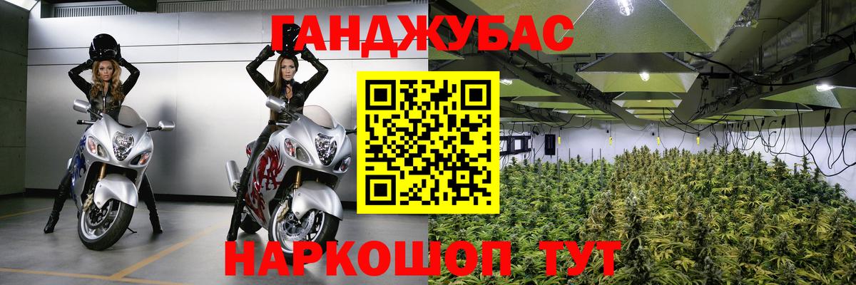 Бошки Шишки индика Владимир
